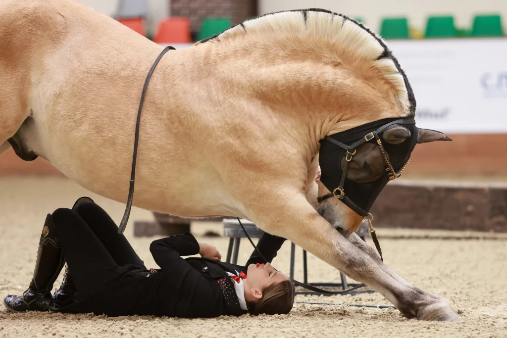 10-я Международная выставка «КОННАЯ РОССИЯ»